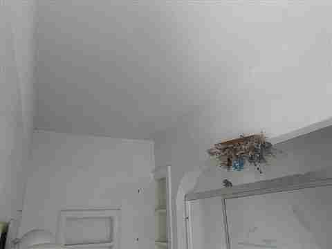 3309 Montgomery (14)_m.jpg